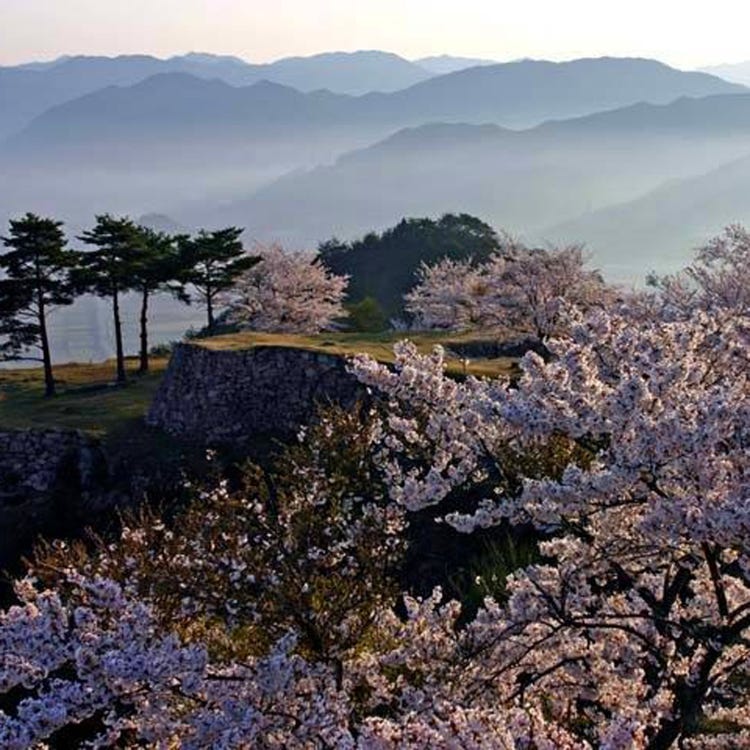 竹田城跡 兵庫近郊 城跡 Live Japan 日本の旅行 観光 体験ガイド 竹田城跡 兵庫近郊 城跡 Live Japan 日本の旅行 観光 体験ガイド