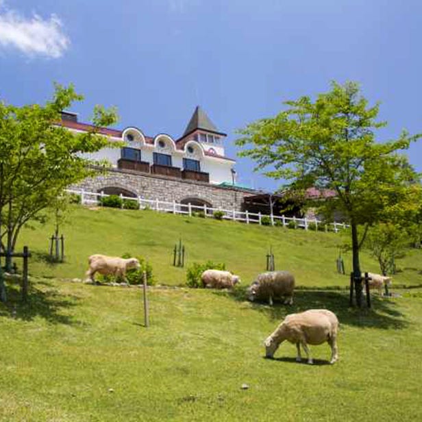 神户市立六甲山牧场