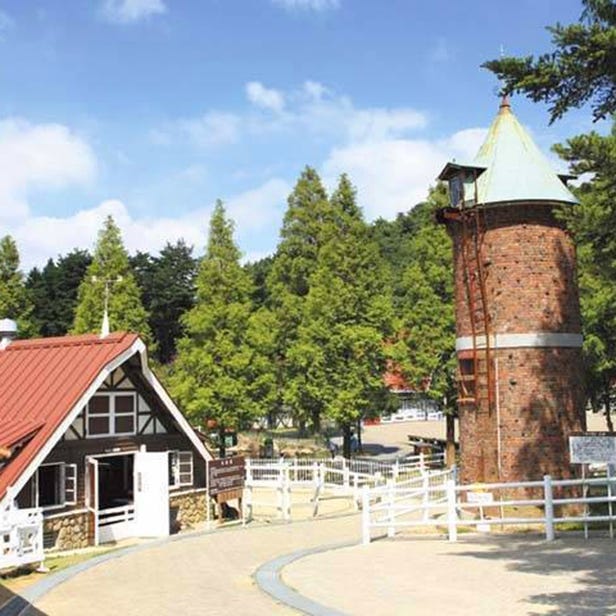 神戶市立六甲山牧場