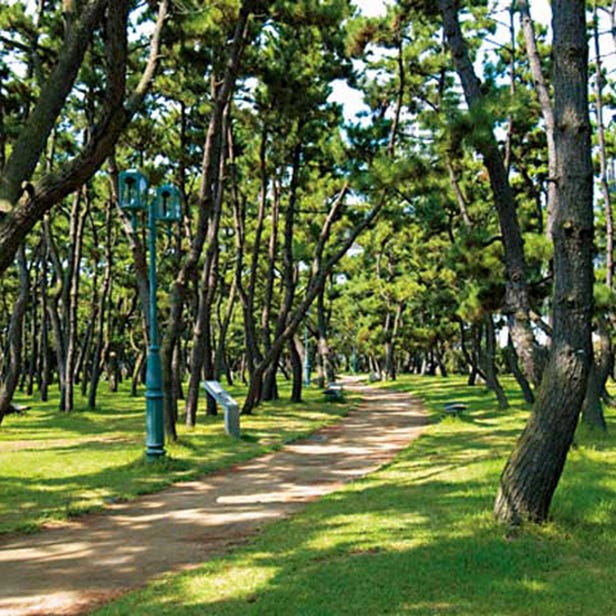 마이코 공원