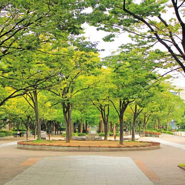 Kobe East Park