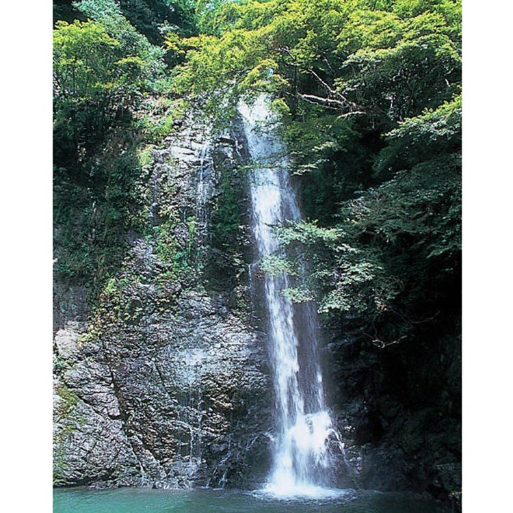 箕面瀑布 大阪近郊 溪谷 溪流 河川 湖 Live Japan 日本旅遊 文化體驗導覽