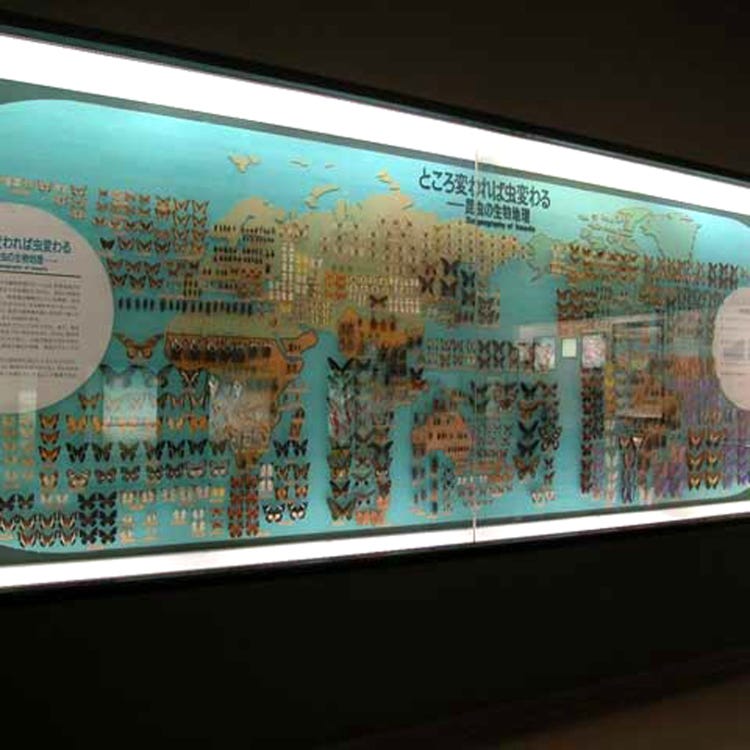 Osaka Museum of Natural History (Osaka Suburbs|History