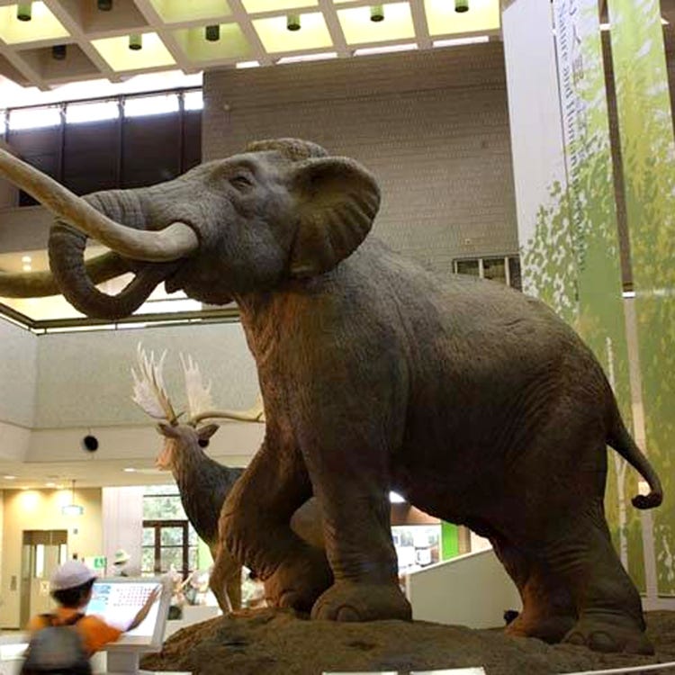 大阪市立自然史博物館 大阪近郊 歴史博物館 Live Japan 日本の旅行 観光 体験ガイド