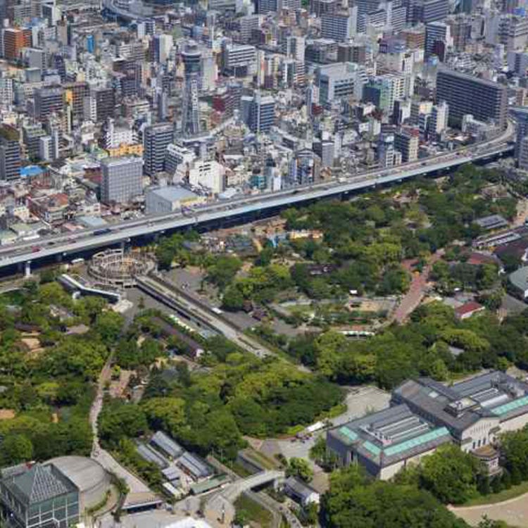 Osaka Tennoji Zoo (Shinsekai, Tennouji, Tsuruhashi|Zoos, Aquariums
