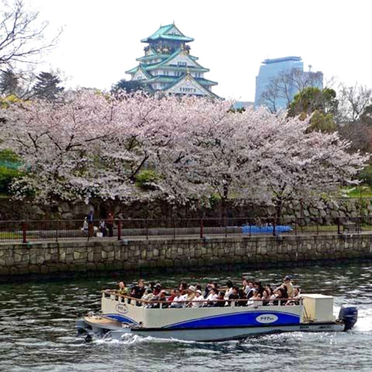 大阪水上バス アクアライナー 大阪城 天満橋 京橋 乗り物体験 Live Japan 日本の旅行 観光 体験ガイド