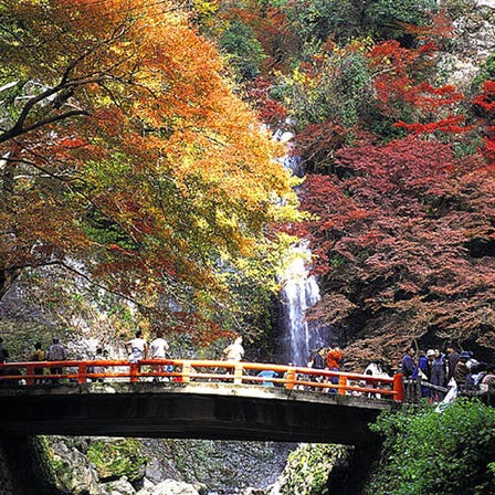 大阪府営箕面公園