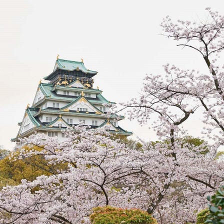 Osaka Castle Park