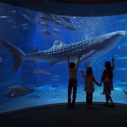 Osaka Aquarium
KAIYUKAN