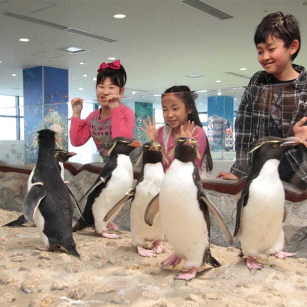 Osaka Aquarium
KAIYUKAN