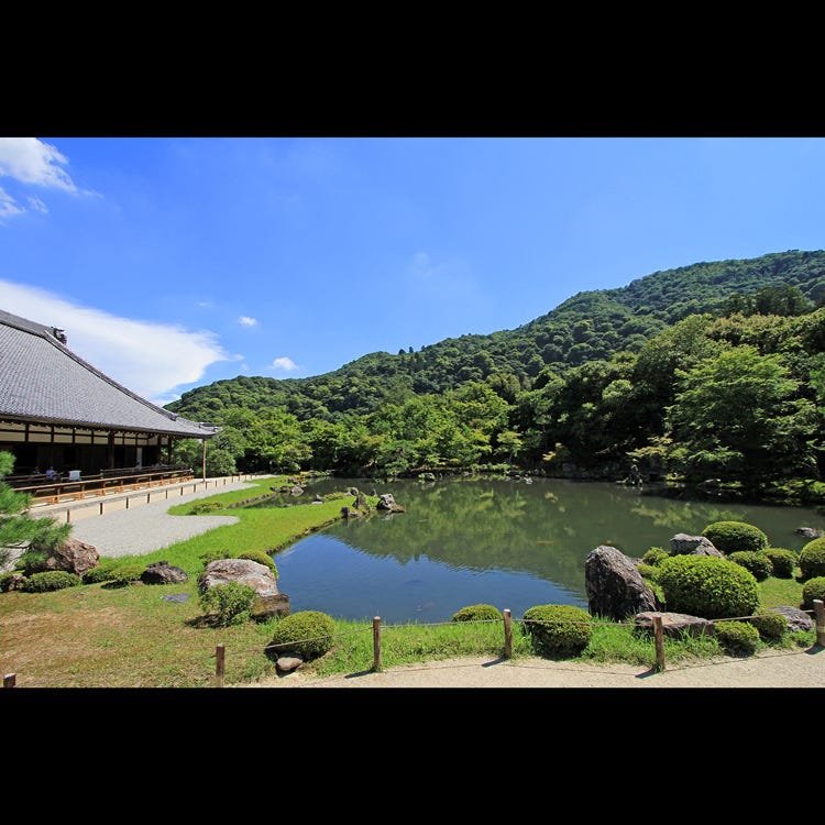 天龍寺 嵐山 太秦 寺院 Live Japan 日本の旅行 観光 体験ガイド