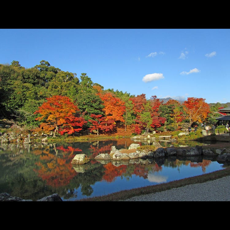 Tenryu Ji Temple Arashiyama Uzumasa Temples Live Japan Japanese Travel Sightseeing And Experience Guide