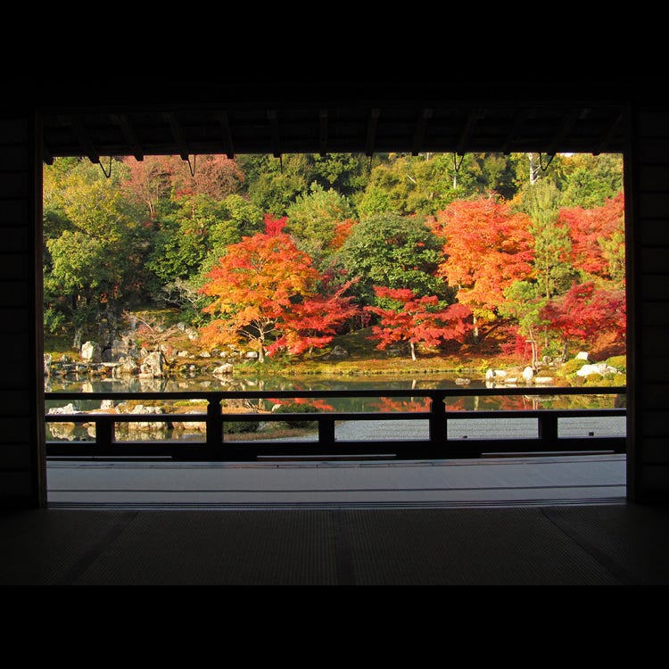 天龙寺 岚山 太秦 寺院 Live Japan 日本的旅行 旅游 体验向导