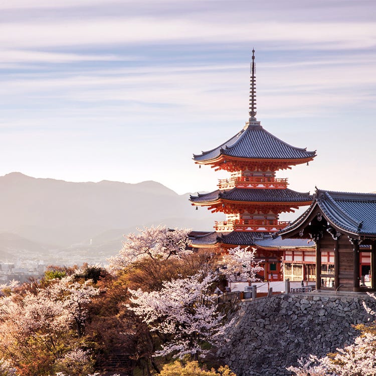 清水寺 祇园 河原町 清水寺 寺院 Live Japan 日本的旅行 旅游 体验向导
