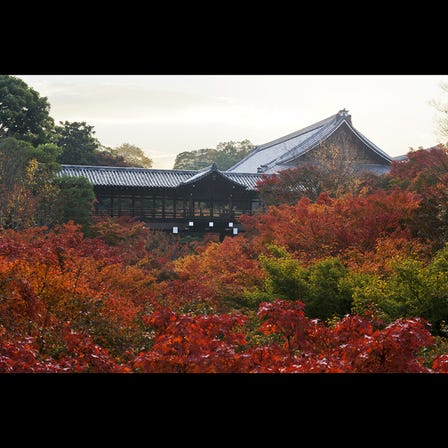 Tofuku-ji Temple