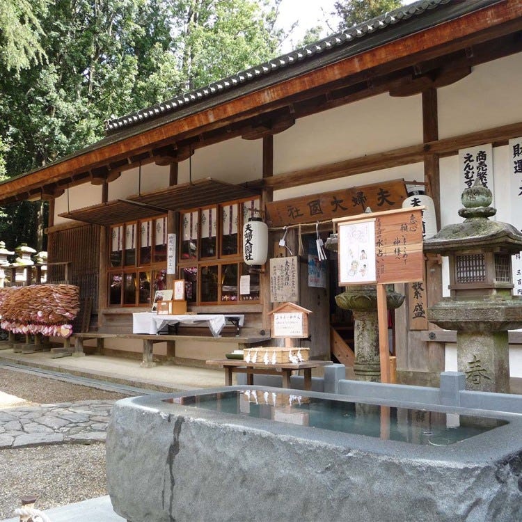春日大社 奈良 生驹 天理 神社 Live Japan 日本的旅行 旅游 体验向导