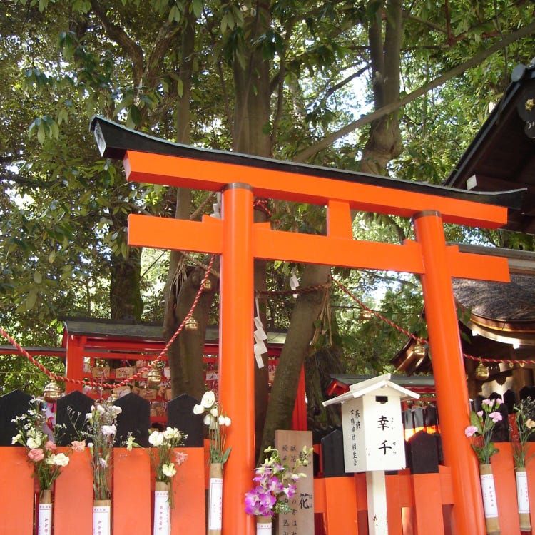 下鴨神社 銀閣寺 南禪寺 神社 Live Japan 日本旅遊 文化體驗導覽