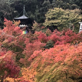 Zenrin-ji Temple (Eikan-do)
