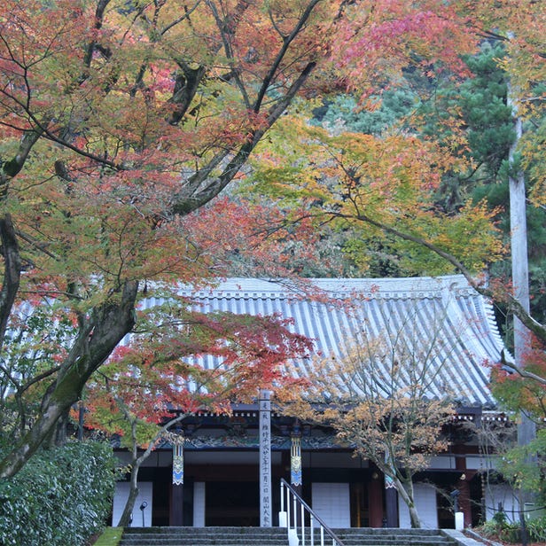 Zenrin-ji Temple (Eikan-do)
