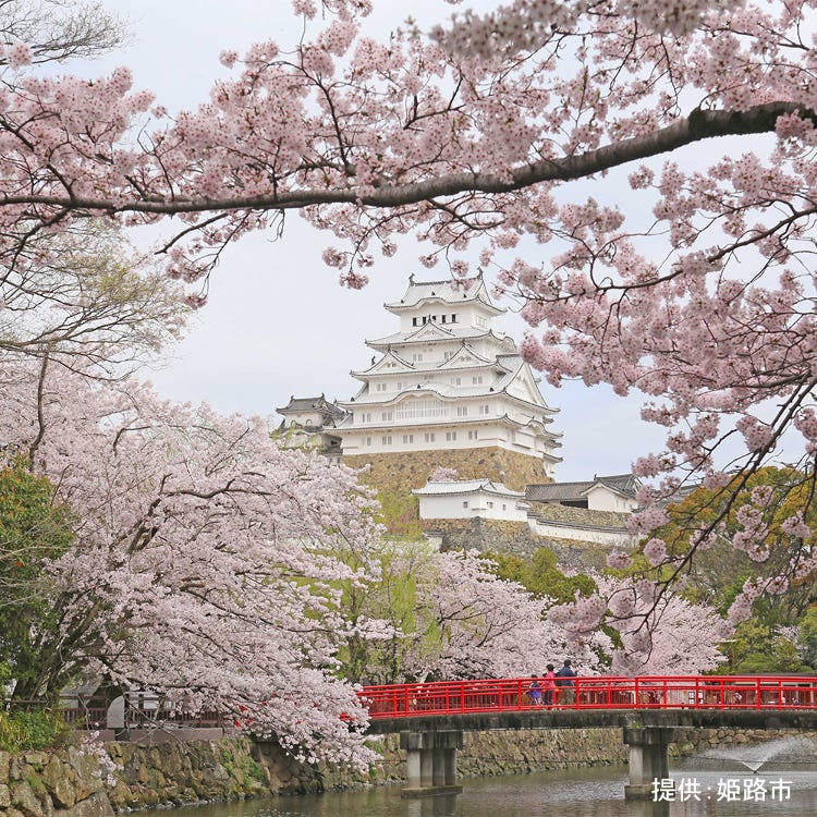 Himeji-jo Castle (Himeji, Akashi|Castles) - LIVE JAPAN