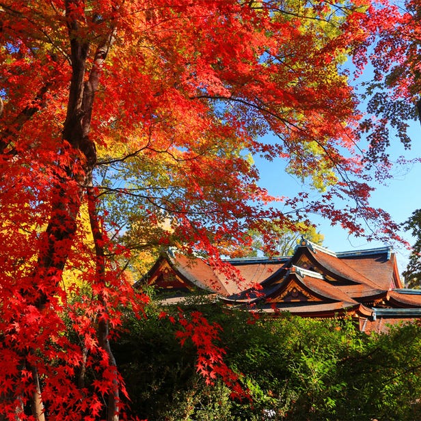 Kitano Tenman-gu Shrine