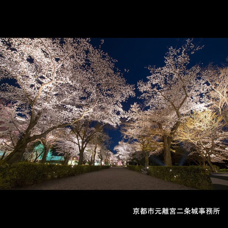 元離宮二条城 二条城 京都御所 城郭 Live Japan 日本の旅行 観光 体験ガイド