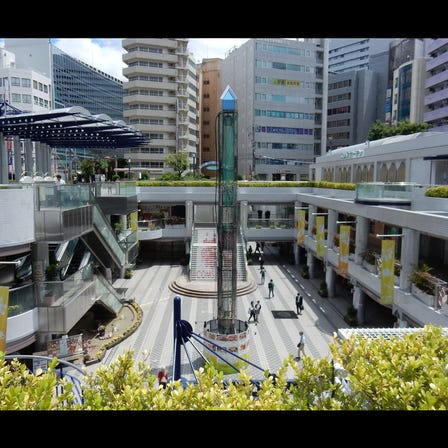 COMS GARDEN