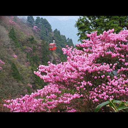 Gozaisho Ropeway