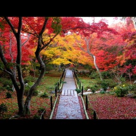 Hokyo-in Temple