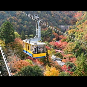 Rokko Arima Ropeway