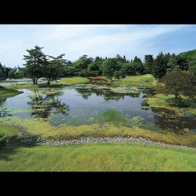 명승지 구 다이조인 정원