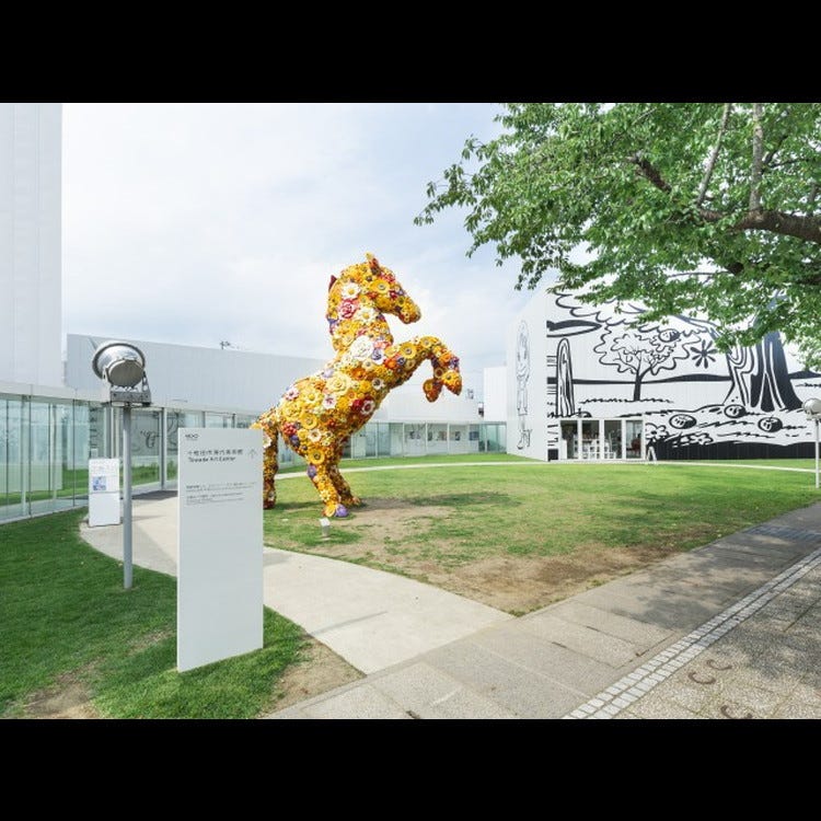 十和田市現代美術館 その他青森近郊 美術館 Live Japan 日本の旅行 観光 体験ガイド