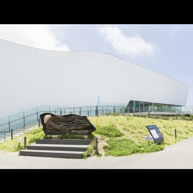 鹤冈市立加茂水族馆 水母dream馆 山形近郊 动物园 植物园 水族馆 Live Japan 日本的旅行 旅游 体验向导