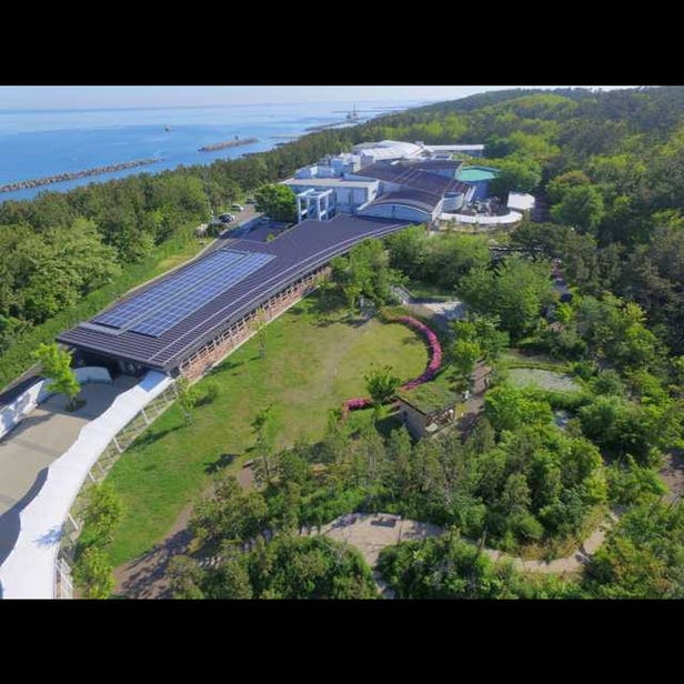 新潟市水族館　マリンピア日本海