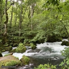 Oirase Stream