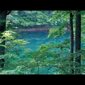 Seven Swamps of Tsuta