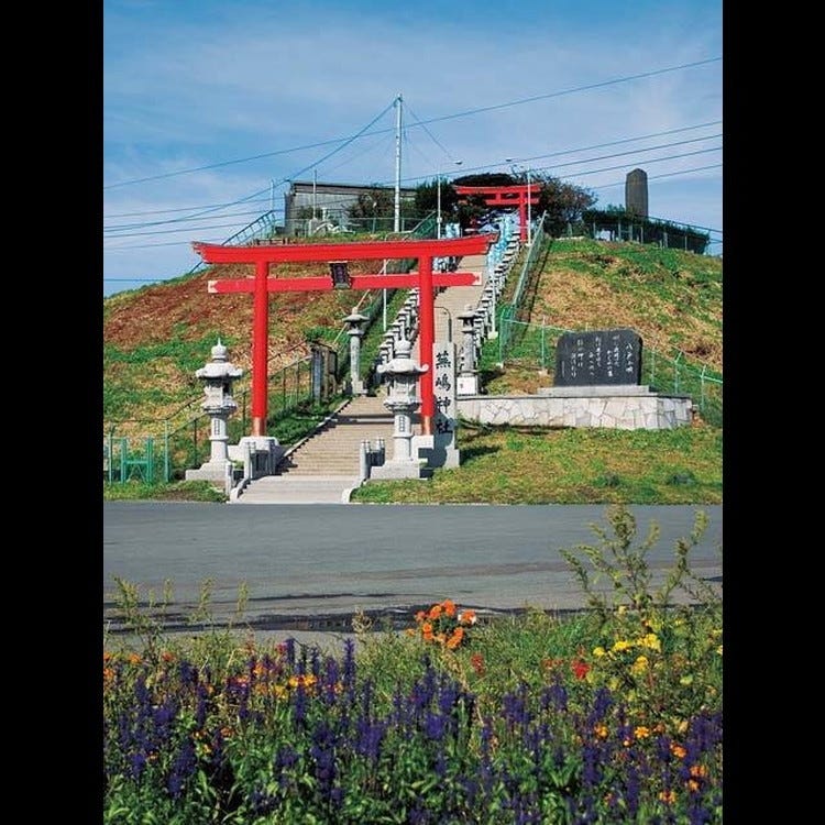 蕪島 青森 弘前 八戸 その他 自然 風景 Live Japan 日本の旅行 観光 体験ガイド 蕪島 青森 弘前 八戸 その他 自然 風景 Live Japan 日本の旅行 観光 体験ガイド