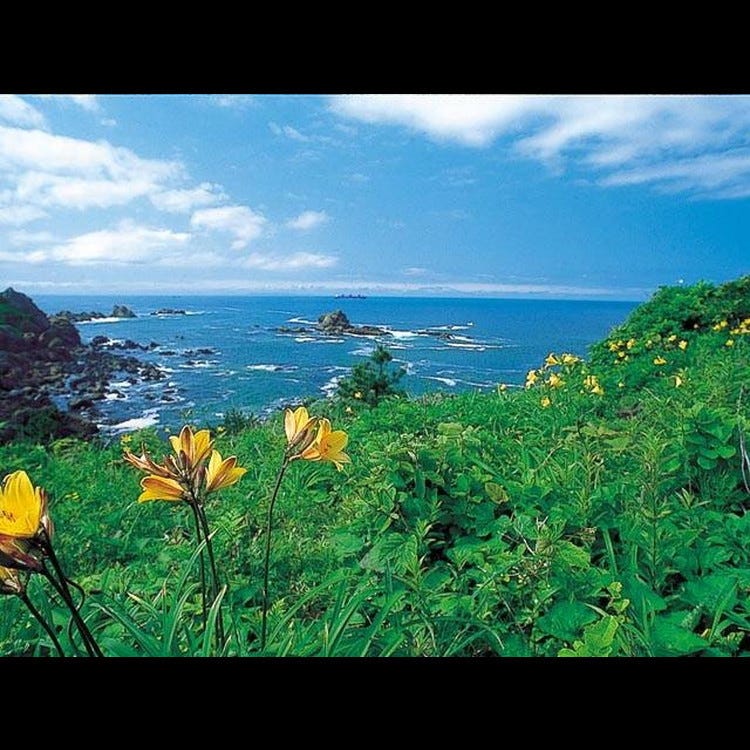 種差海岸 青森 弘前 八戶 海灘 Live Japan 日本旅遊 文化體驗導覽