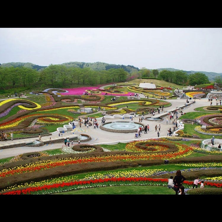 国营陆奥杜之湖畔公园 仙台 松岛 公园 Live Japan 日本的旅行 旅游 体验向导