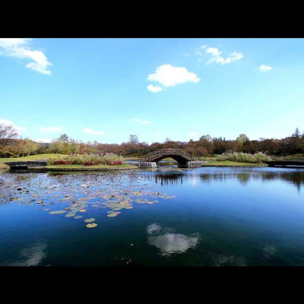 국영 미치노쿠 숲의 호반 공원