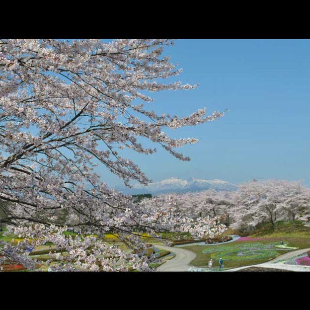 국영 미치노쿠 숲의 호반 공원