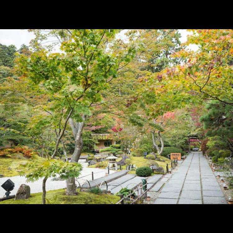 圓通院 仙台 松島 寺院 Live Japan 日本旅遊 文化體驗導覽