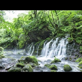 元滝伏流水