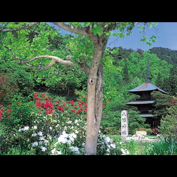 安久津八幡神社 山形近郊 神社 Live Japan 日本的旅行 旅游 体验向导