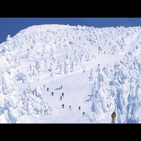 山形藏王溫泉滑雪場