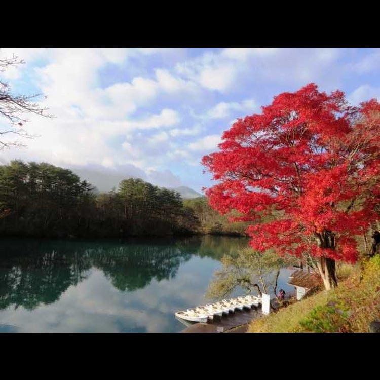 五色沼湖沼群 會津若松 溪谷 溪流 河川 湖 Live Japan 日本旅遊 文化體驗導覽