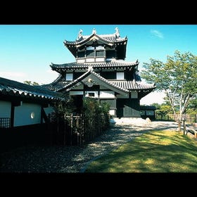 Takada-jo Castle Sanju Yagura