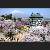 live japan