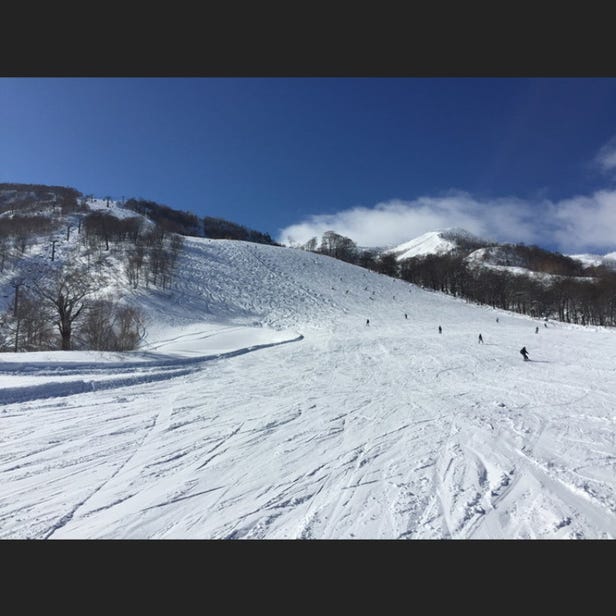 Mt.Naeba / Kagura滑雪場