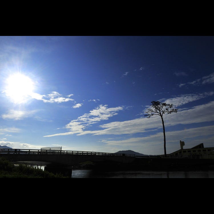 陸前高田一本松 宮城近郊其他地區 自然景觀 Live Japan 日本旅遊 文化體驗導覽 陸前高田一本松 宮城近郊其他地區 自然景觀 Live Japan 日本旅遊 文化體驗導覽